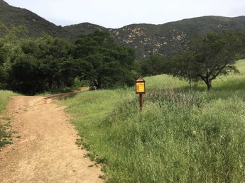 Yarnbombers Hiking Guide Hot Springs Trail Montecito